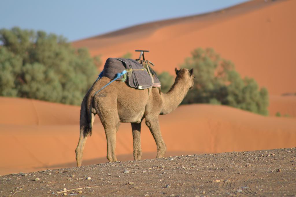 Luxury Maktoub Hotell Merzouga Eksteriør bilde